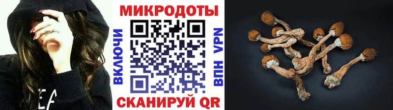 Псилоцибиновые грибы Psilocybine cubensis  мега ссылка  Покров 